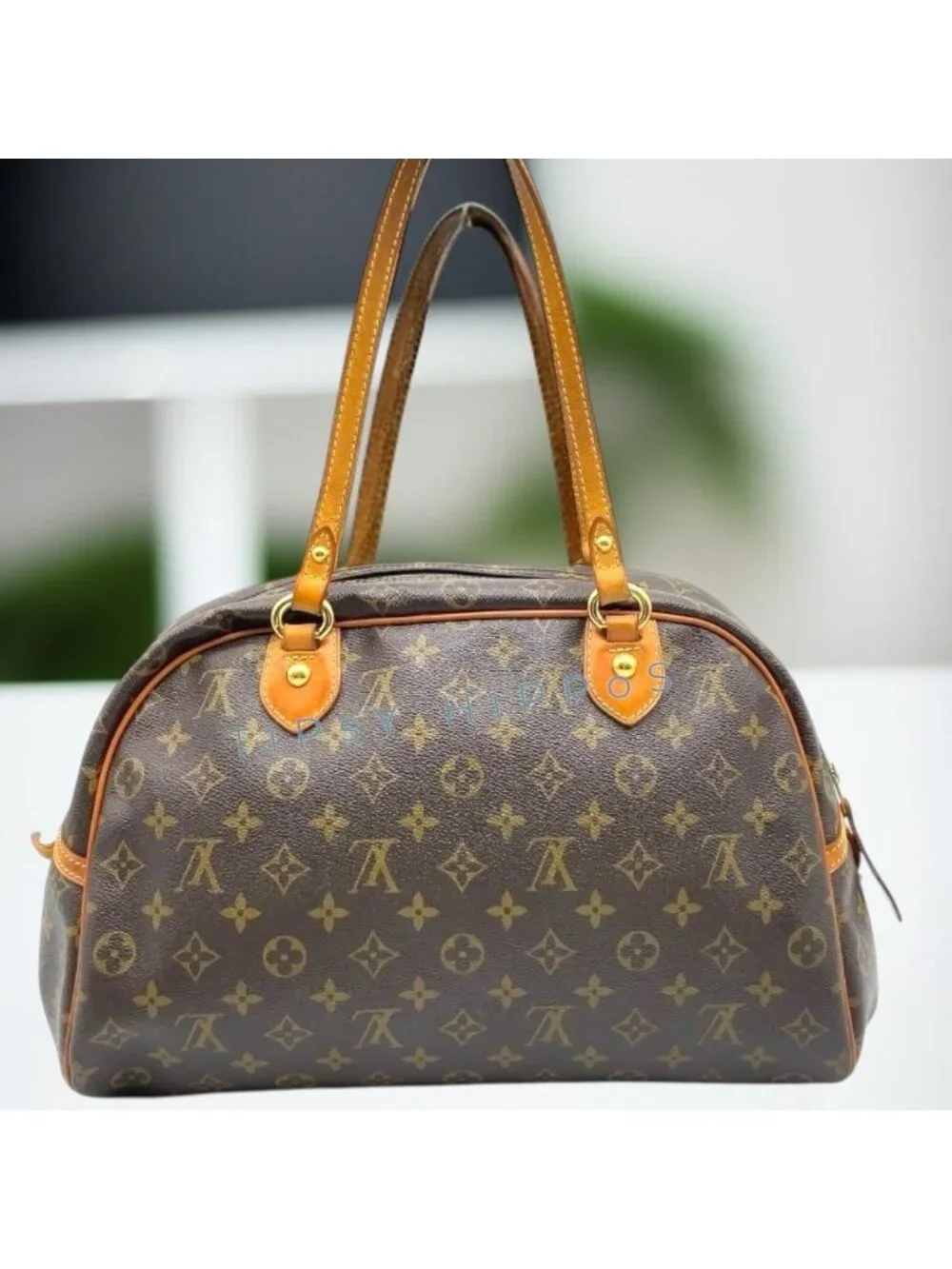 Louis Vuitton Monogram Montorgueil PM Shoulder Bag with LV Shopping Bag